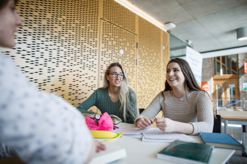 Northwestern social policy image