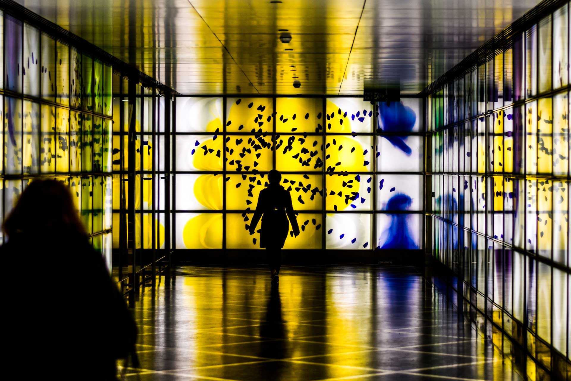 A silhouette of a person looking as a colourful screen