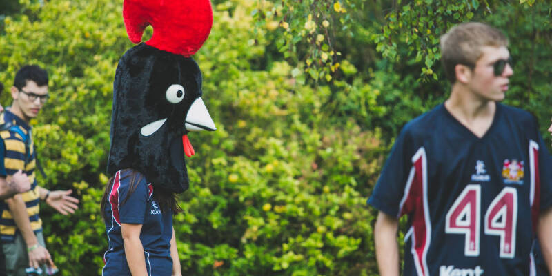 Chicken head