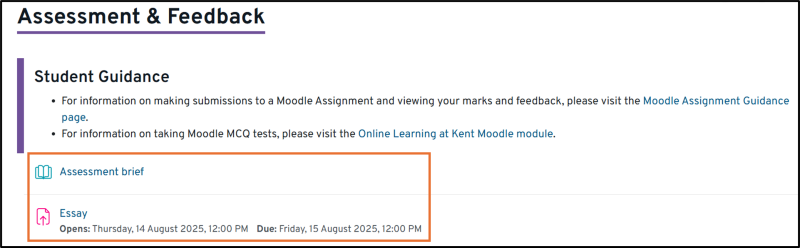 Image of the content of the Assessment & Feedback tile - links to guidance, the assessment brief and a Moodle assignment