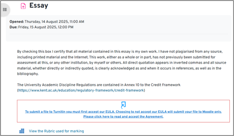 Image shows a statement on the authenticity of your work, and links to the Academic Discipline Regulations and Turnitin EULA