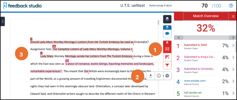 Image shows the Feedback Studio interface with submission with matched text shown and a breakdown of sources matched to