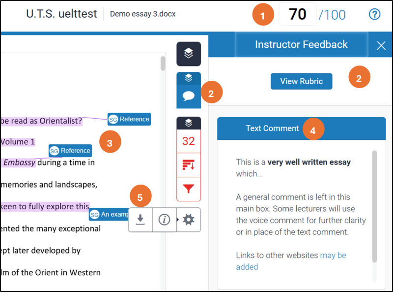 The image shows the Feedback Studio interface highlighting key feedback points and download options