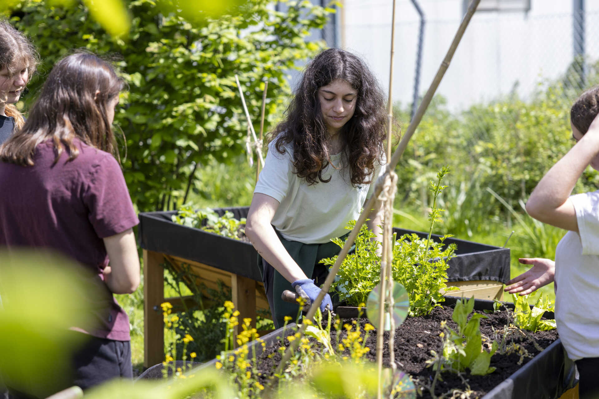 Four students sat outside on the grass