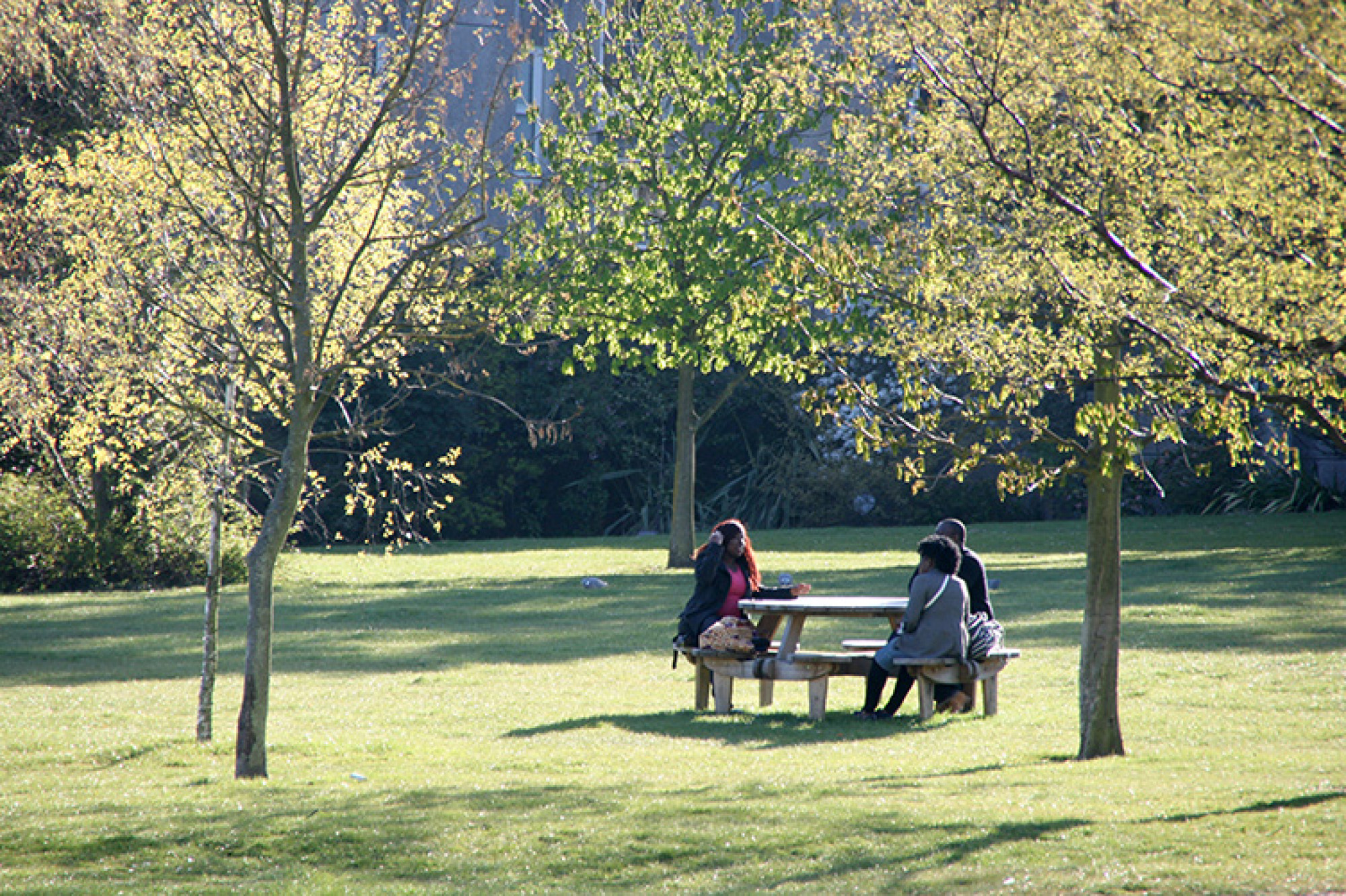 Students sitting on bench chatting