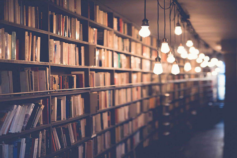 Rows of books on shelving lit by light bulbs hanging from ceiling