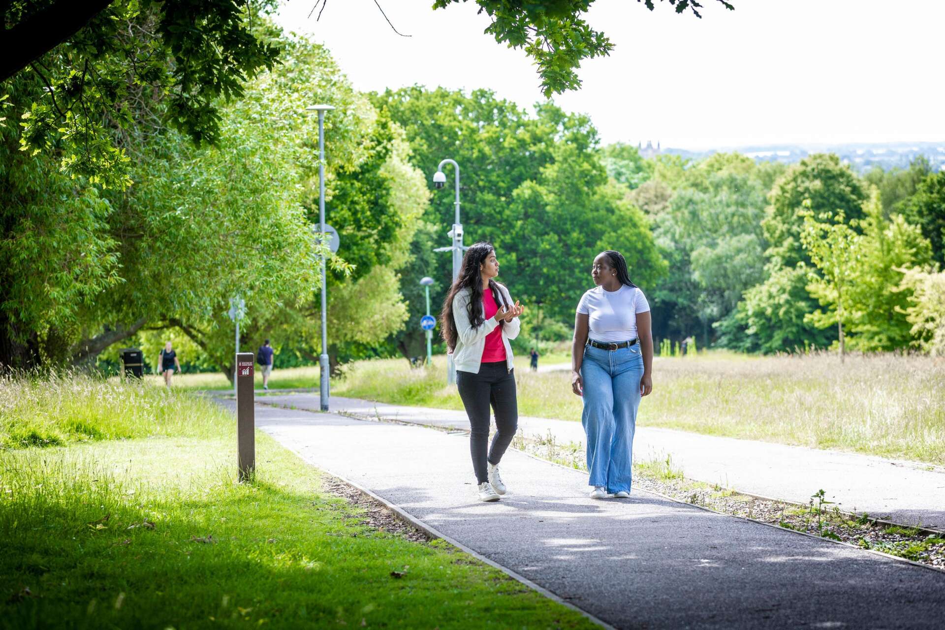 Students walking and talking on Eliot Hill on campus