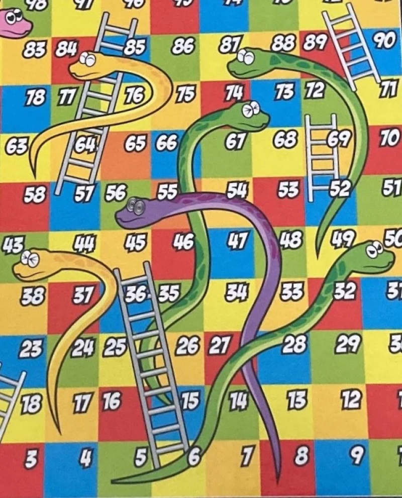 Snakes and Ladders board game