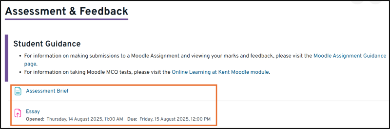 Image of the content of the Assessment & Feedback tile - links to guidance, the assessment brief and a Moodle assignment