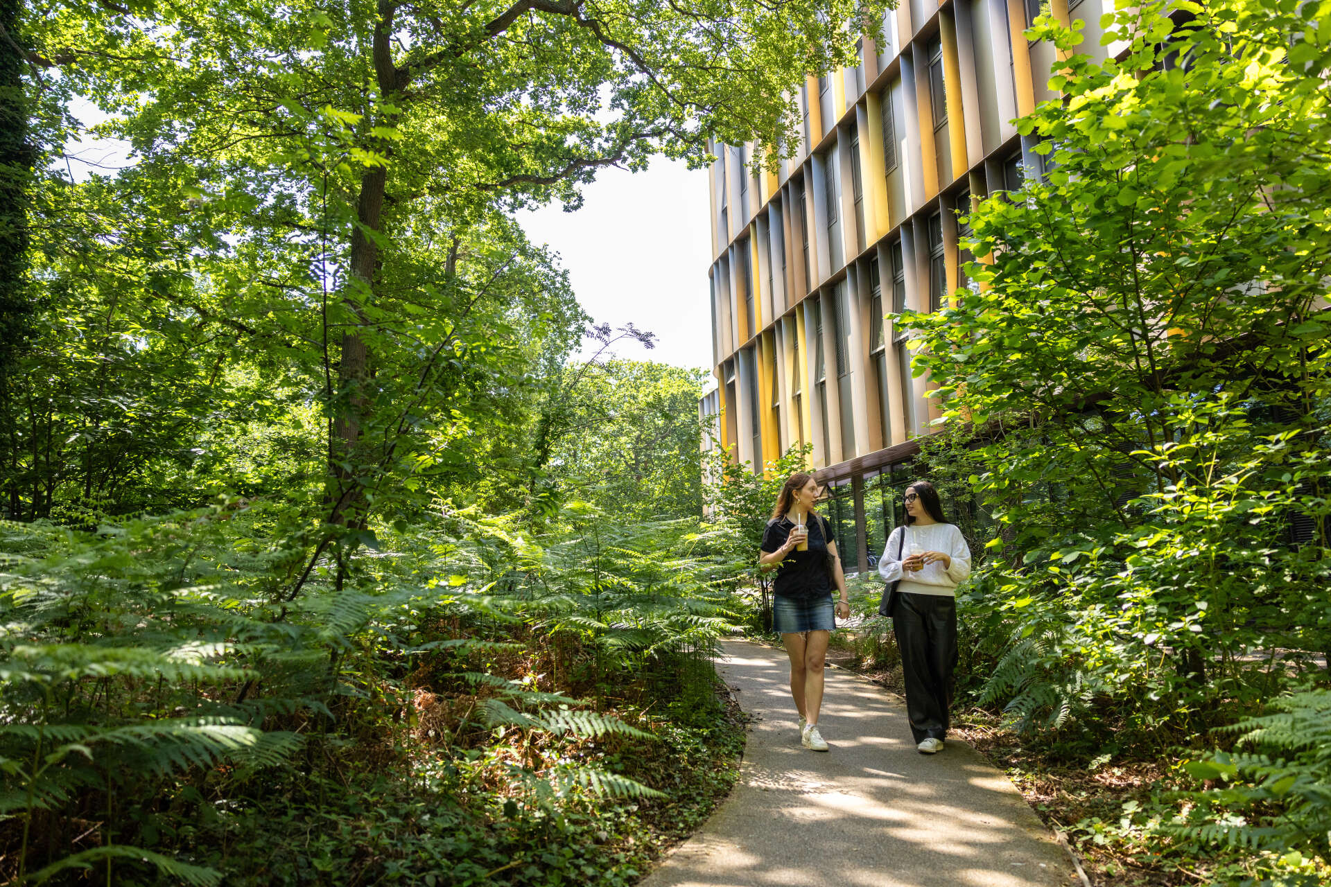 Students walking through lush green campus