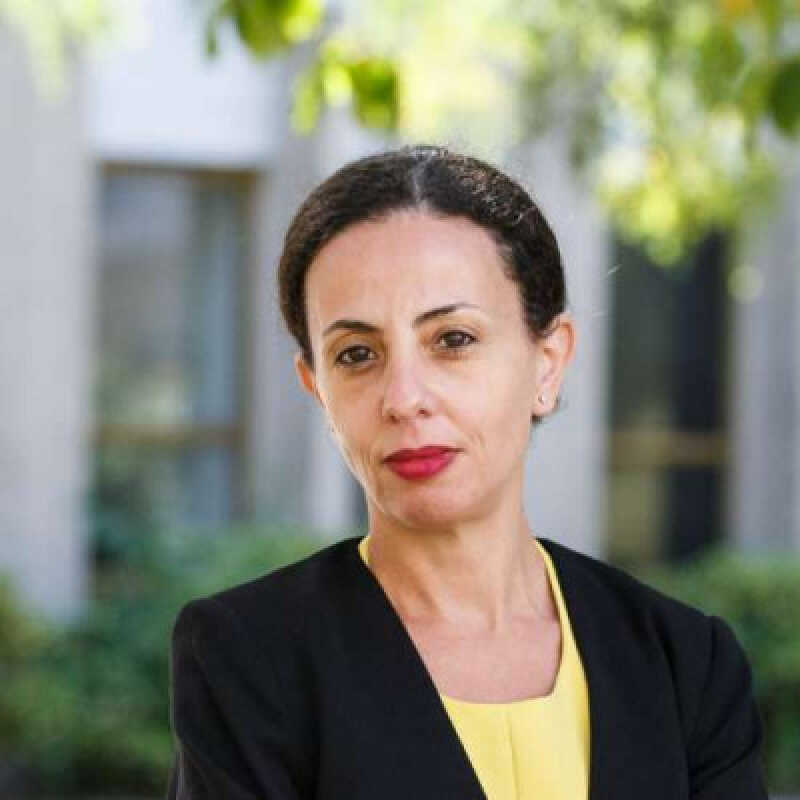 Professor Sophia Labadi