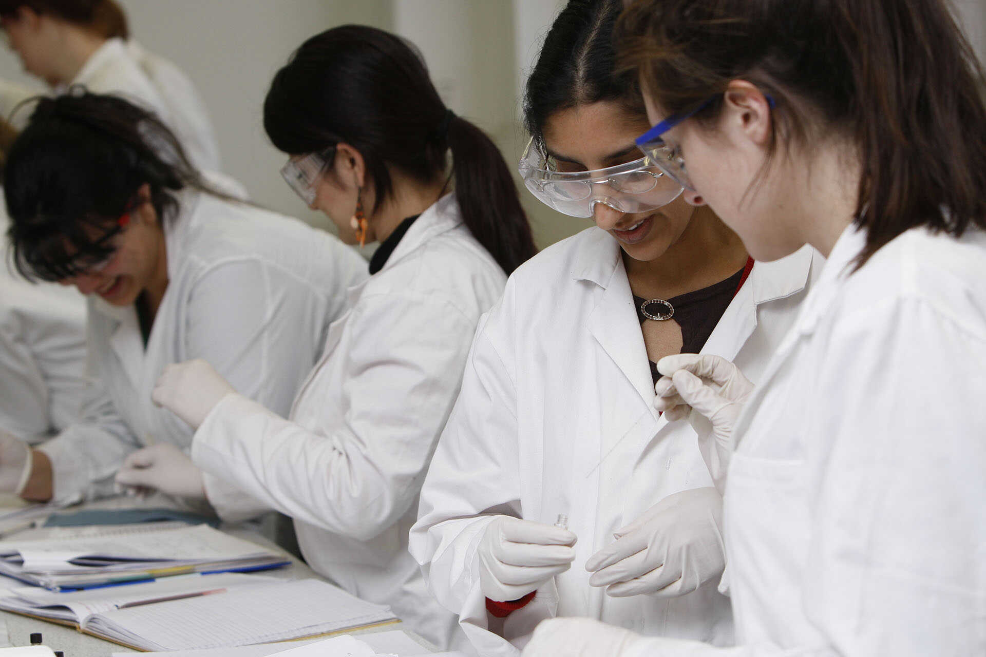 Pharmacy students working in a laboratory