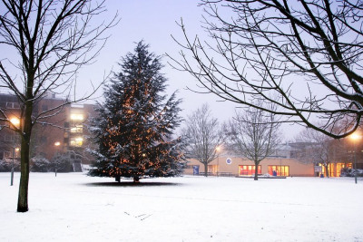 Christmas on campus