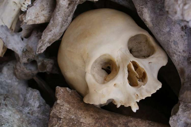 Human skull wedged between rocks