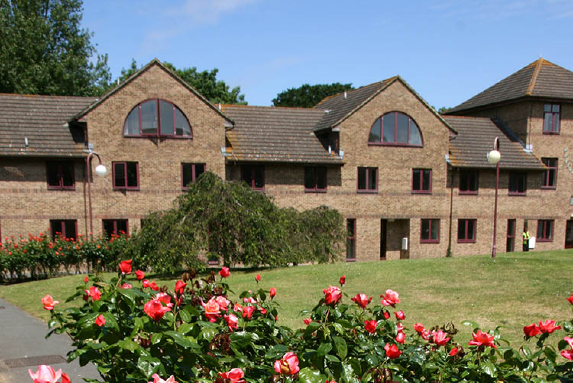 Darwin Houses exterior and rose garden